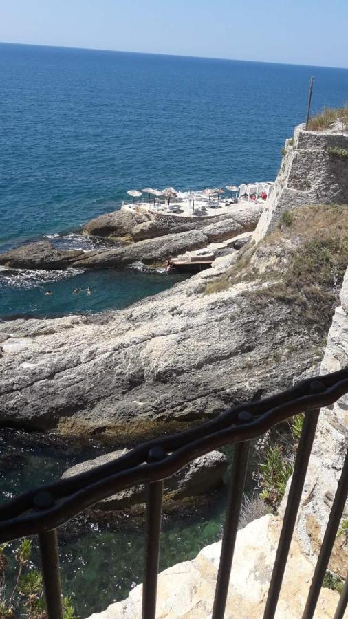 Zuto * Ulcinj